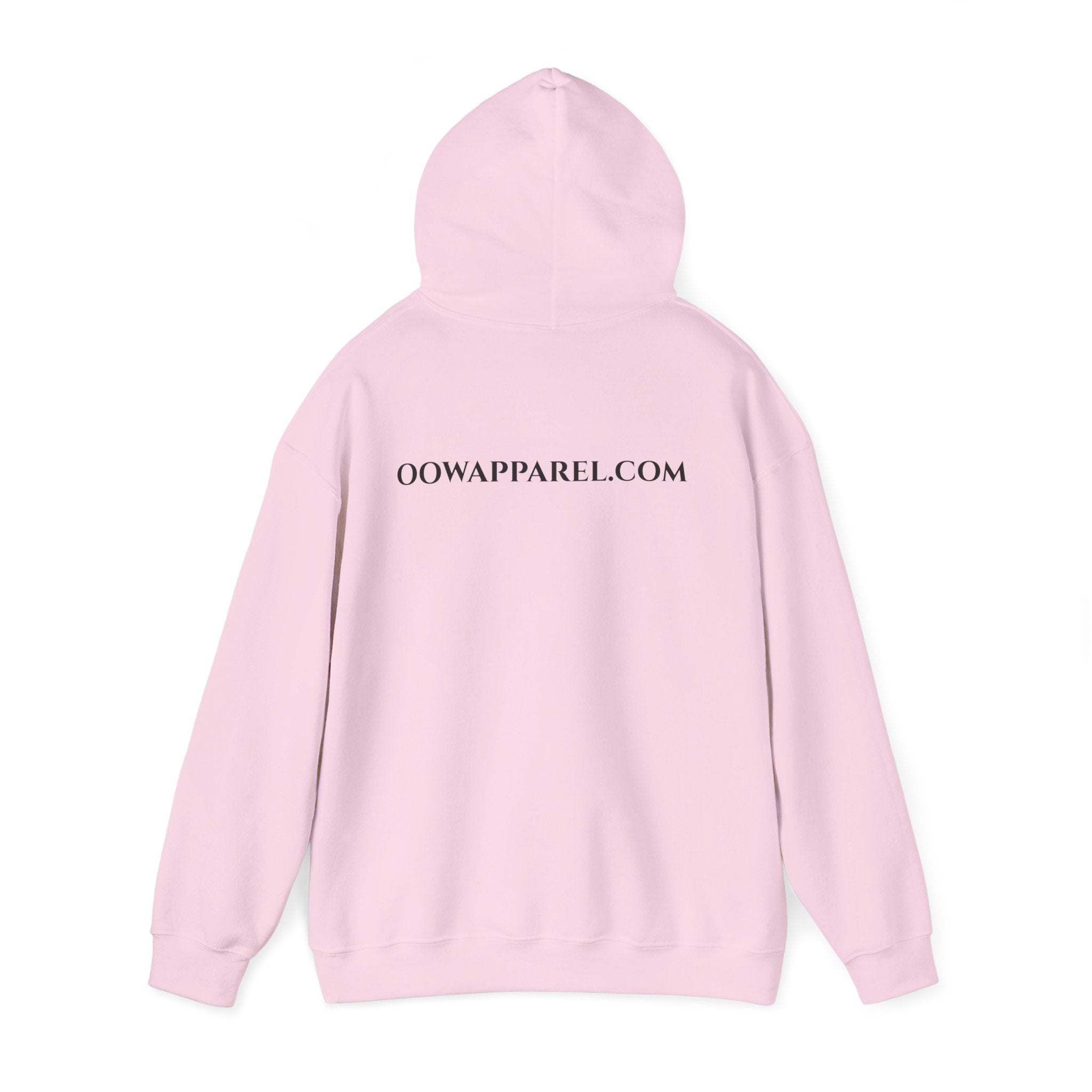"Need $ 4 Racecar" - Hoodie