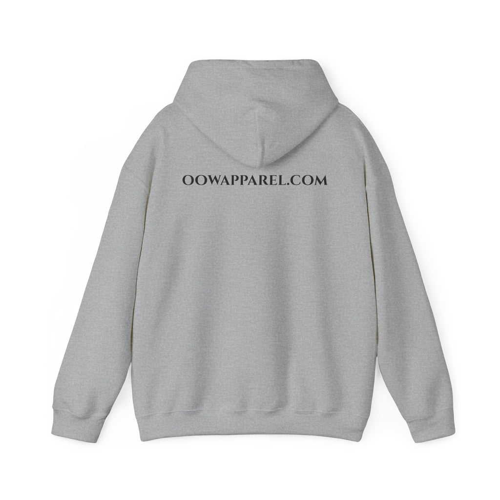 "Need $ 4 Racecar" - Hoodie